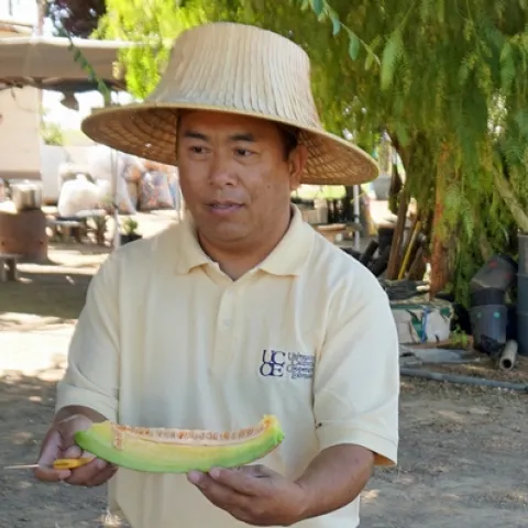 The rainy winter means sweet strawberries are on the way, says UC Cooperative Extension small farms and specialty crops Hmong ag assistant Michael Yang. The photo shows Yang with an Asian melon in summer 2018.