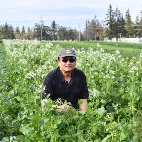 Fresno State Professor and Department Chair, Anil Shrestha, out in his cover crop field on the University’s campus farm