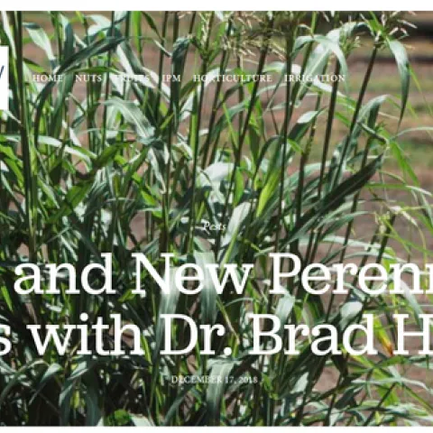 Growing the Valley podcast-Hanson