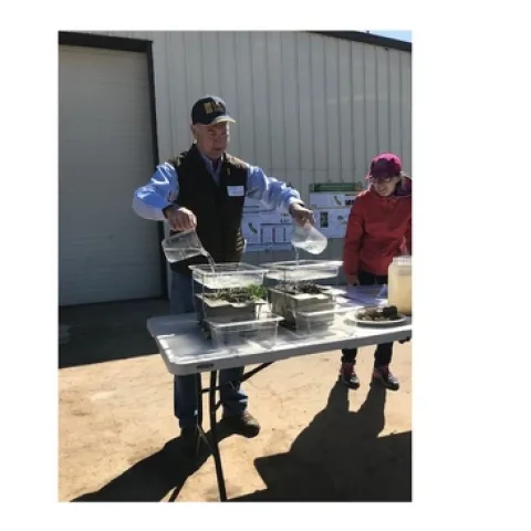 CASI member, Dan Munk, demonstrating water infiltration into long-term cover cropped and reduced disturbance soil compared to no cover crop, routinely disturbed soil at Merced, CA almond orchard public field day, March 21, 2019