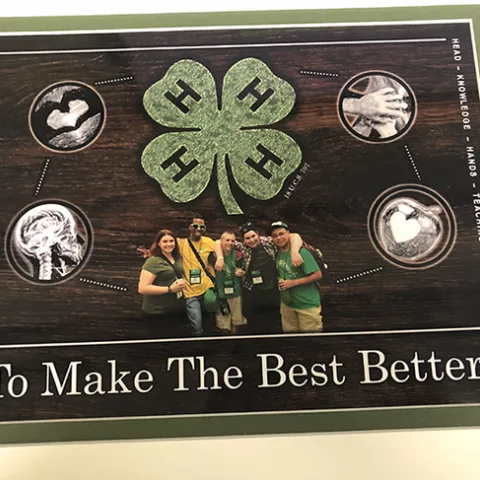 Ad submitted in Promotional ad contest