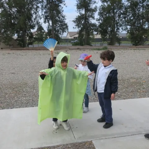 Demonstrating how plants grow.
