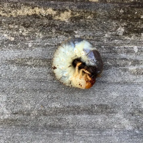 photo by Erin Mahaney