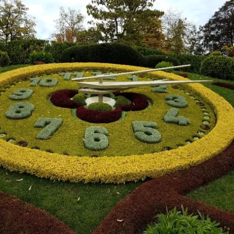 Clock in October 2018. The seconds are made up of succulents. Photo by Viv