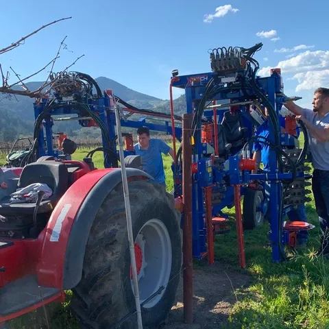 Mechanical pruning reduced labor costs by 90%, resulted in increased grape yields and berry quality was as good or better than hand-pruned vines.
