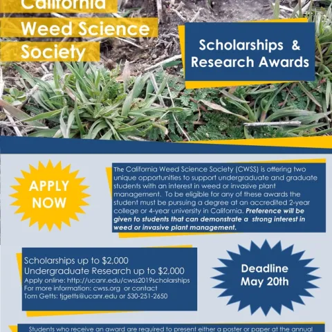 2019 CWSS Scholarship awards