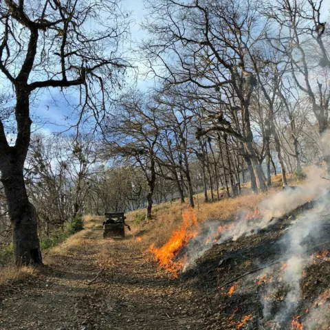 Control burn 3 Lenya Quinn-Davidson