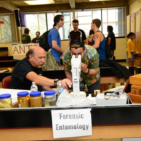 Forensic entomologist Robert Kimsey (left) held forth at the forensic entomology table in Briggs Hall during the 2019 UC Davis Picnic Day. He recently won a College of Agricultural and Environmental Sciences' advising award. (Photo by Kathy Keatley Garvey)