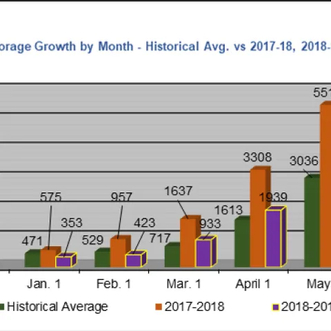 Graph-Forage Production By Month