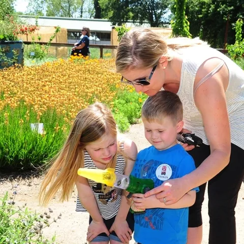 At a recent TODS Day, UC Davis employee Sarah Robertson supervises her children, Isla and Cameron, as they use a catch-and-release device to observe bees up close. (Photo by Kathy Keatley Garvey)