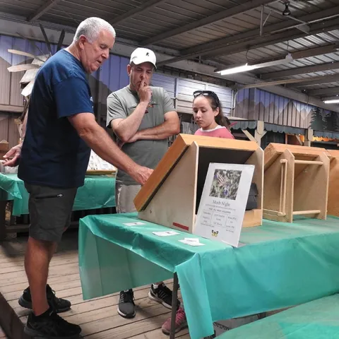 Entomologist Jeff Smith (left) shows insect displays from the Bohart Museum of Entomology to fairgoers last Saturday at the Dixon May Fair. (Photo by Kathy Keatley Garvey)