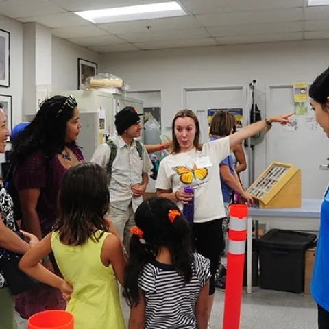 As a graduate student at UC Davis, Jessica Gillung participated in many outreach programs with the Bohart Museum of Entomology. (Photo by Kathy Keatley Garvey)
