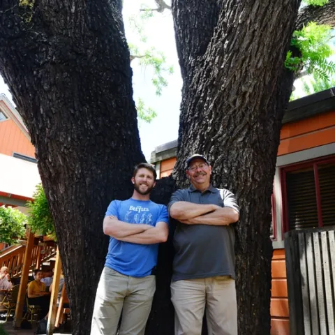 Forest entomologists Steve Seybold and Jackson Audley, his doctoral student, stand at the base of a dying giant black walnut tree on the 100 block of E Street. (Photo by Kathy Keatley Garvey)