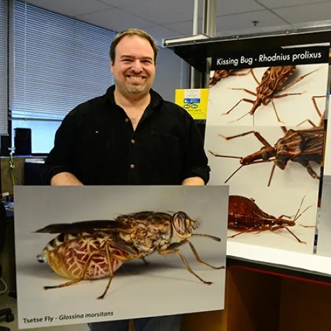 Medical entomologist Geoffrey Attardo with his image of a tsetse fly. (Photo by Kathy Keatley Garvey)