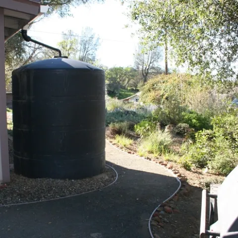 Fire scientists recommend that the five-foot-zone around structures be completely free of vegetation that can burn.