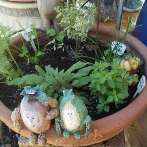 photos by Paula Pashby