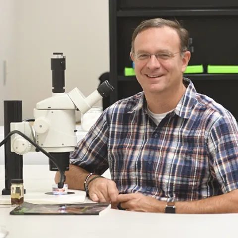 Jason Bond, professor and Schlinger Chair in Insect Systematics, UC Davis Department of Entomology and Nematology, is senior author of a newly published paper on golden orbweavers in the Journal of Systematic Biology. The Bond lab and the Chris Hamilton lab of the University of Idaho provided the anchored hybrid enrichment data and phylogenomic analysis. (Photo by Kathy Keatley Garvey)