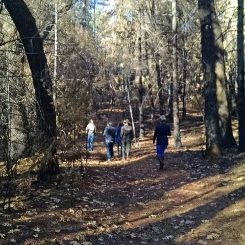 Fire resilient forests have the benefit of offering greater access for recreation. (Photo: Butte County Fire Safe Council)