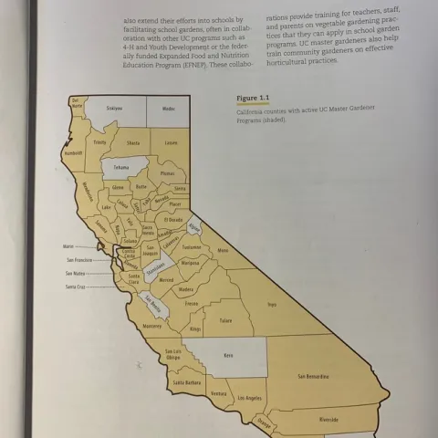 photos by Martha White