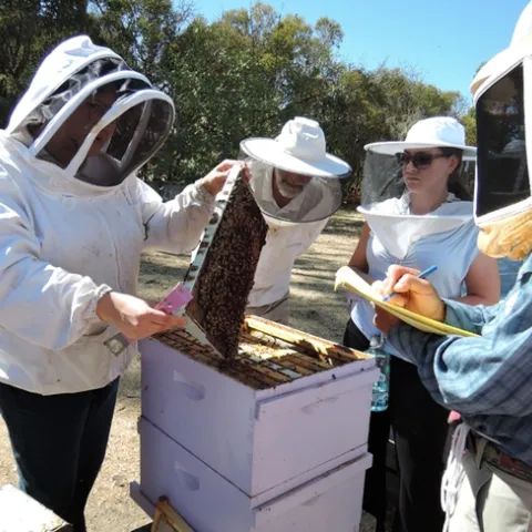 Extension apiculturist Elina Lastro Niño of the UC Davis Department of Entomology and Nematology, and director of the California Master Beekeeper Program, leads a class. (Photo by Kathy Keatley Garvey)