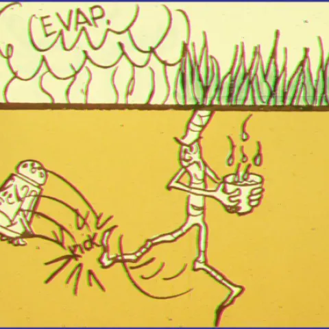 Origin of soil salinity