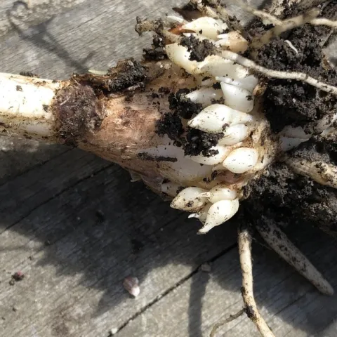 photos by Erin Mahaney