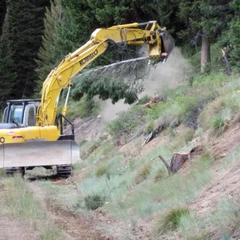Excavator clears understory vegetation as part of a fuel break. (Photo: USDA)