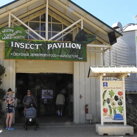 The California State Fair's Insect Pavilion is home to multiple displays borrowed from the Bohart Museum of Entomology, UC Davis. (Photo by Kathy Keatley Garvey)
