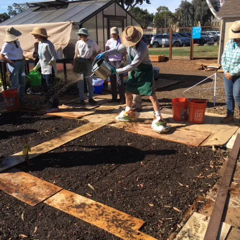 Inoculating compost extract