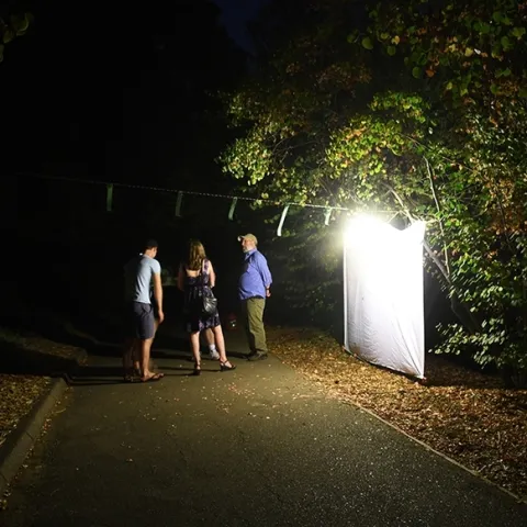 "Moth Man" and Bohart Museum associate John DeBenedictis (right) greets Moth Night visitors at the Bohart Museum of Entomology's 2018 event. (Photo by Kathy Keatley Garvey)