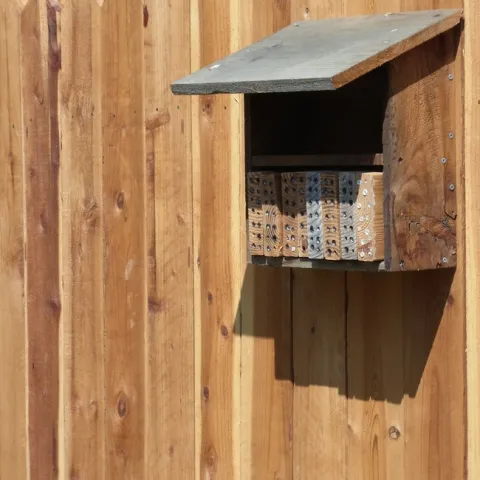 Bee nesting blocks on a fence