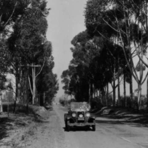 eucaplyptus drive 1930 Hogg, Auto Club C. CA
