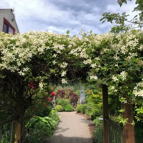 photos by Erin Mahaney