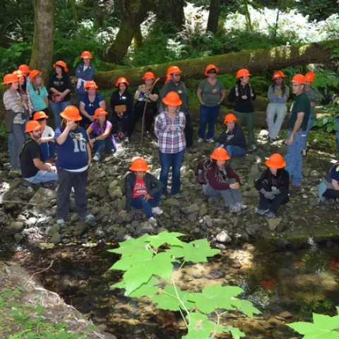School teachers visit a forest as part of the Forestry Institute for Teachers training. (Photo: Forestryinstitute.org)
