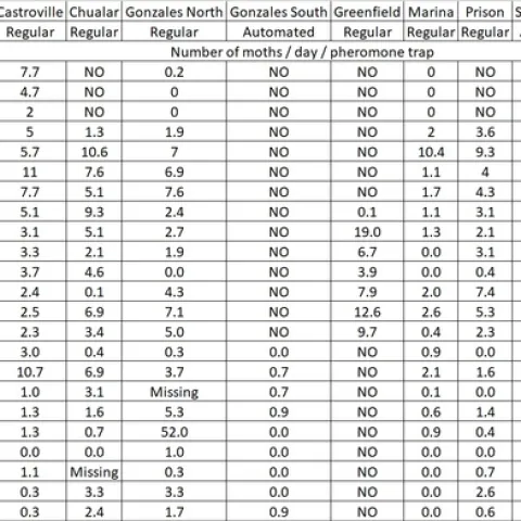 DBM tendencies jul19
