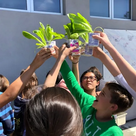 Children holding up mild cartons of baby lettuce
