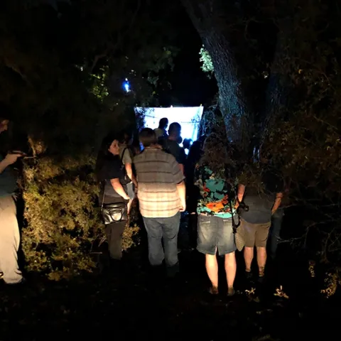 Visitors gather at the blacklighting display just outside the Bohart Museum of Entomology. (Photo by Kathy Keatley Garvey)