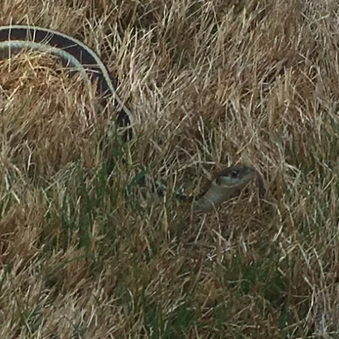 photos by Michelle Davis