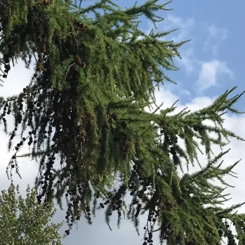 photos by Karen Metz