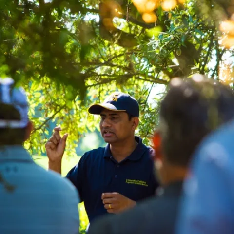UCCE Integrated Pest Management advisor Jhalendra Rijal addresses farmers, pest control advisers and UC Master Gardener volunteers in a Turlock almond orchard. (Photo: Michael Rosenblum, UCCE Stanislaus County)