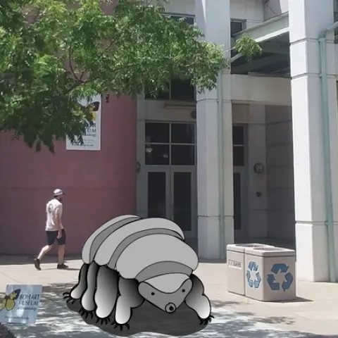An artist's conception of a tardigrade sculpture in front of the Bohart Museum of Entomology.