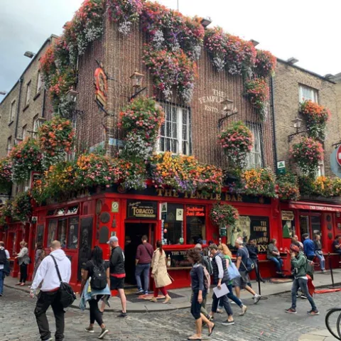 Flower boxes adorn a Dublin pub, photo by Janet Hartin
