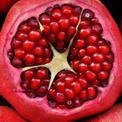 pomegranate half