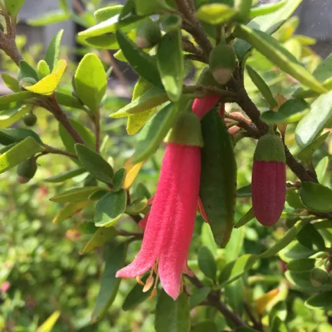 Photo By Linda Lewis Griffith