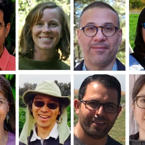 Top row, left to right, Kamyar Aram, Marisa Coyne, Amer Fayad and Joy Hollingsworth. Bottom row, left to right, Susana Matias, Joji Muramoto, Mohamed Nouri and Kosana Suvocarev.