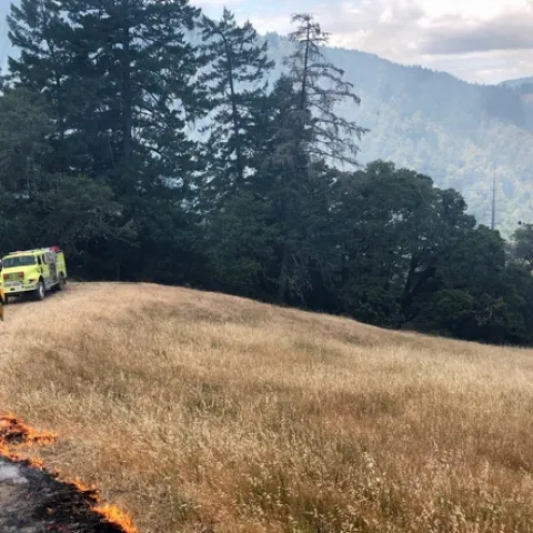 A Mendocino County Fire Safe Council member sets a prescribed burn during a UC ANR fire retreat. Photo by Lenya Quinn-Davidson