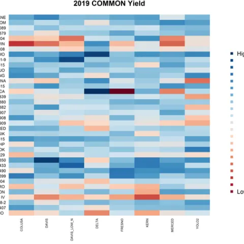 2019 Common Wheat Yield Heat Map