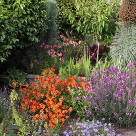 Mixed planting of woody and herbaceous perennials. (Petr Cosina, UC IPM)