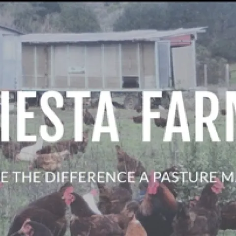 FiestaFarm