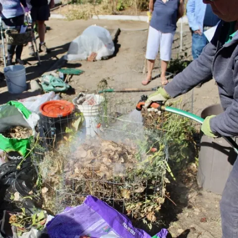 Watering the prepared compost pile